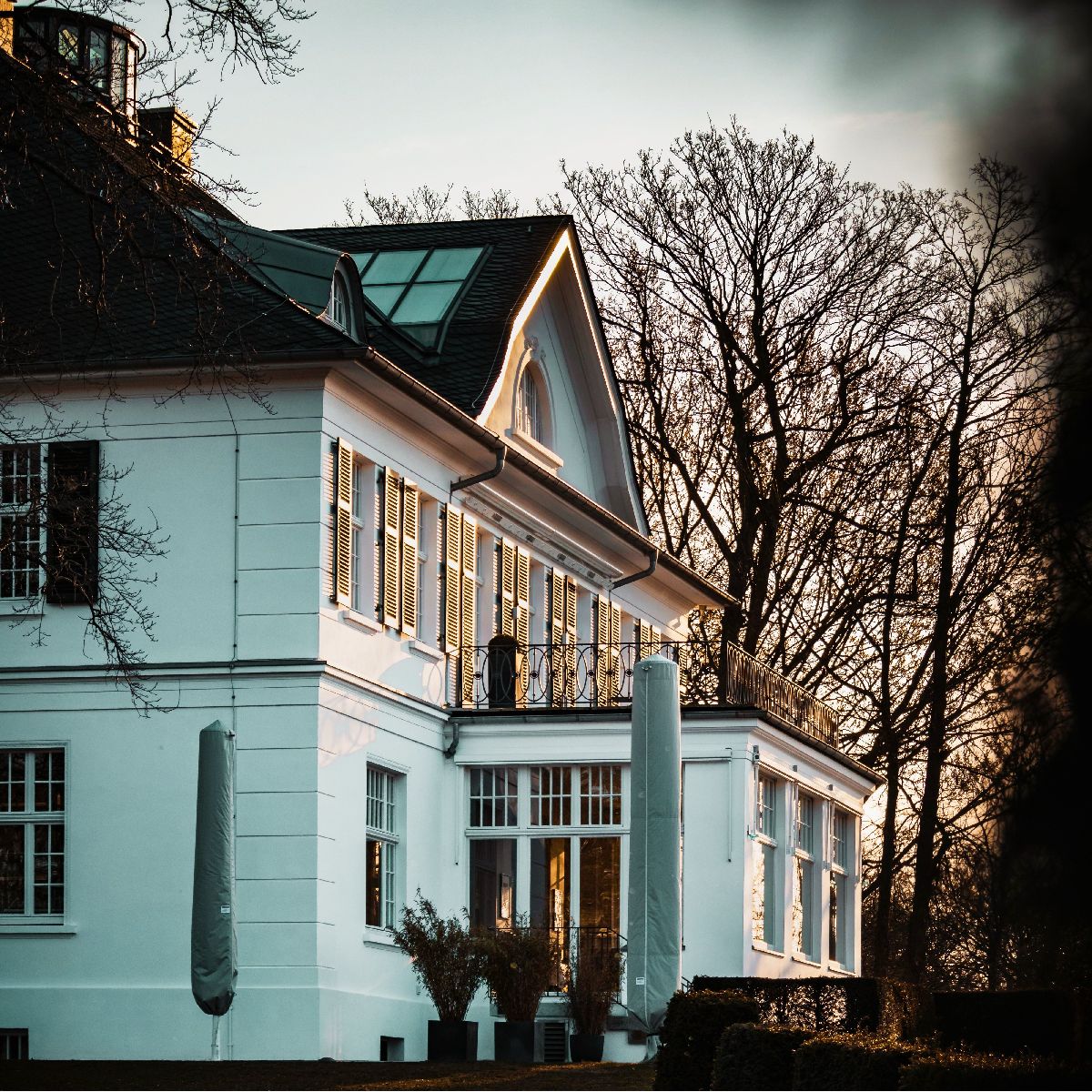 Immobilien wittenwiler